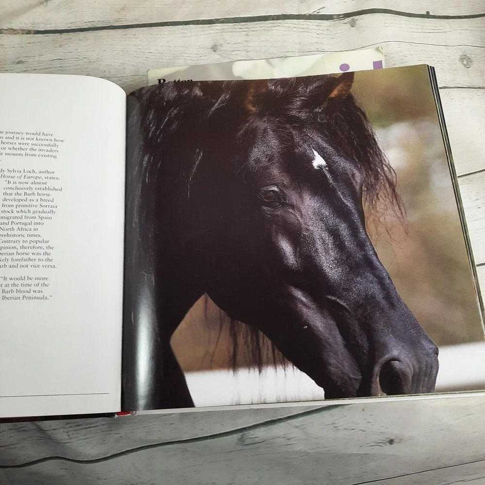 The Book of Horses by Nicola Jane Swinney 2009 Hard Cover